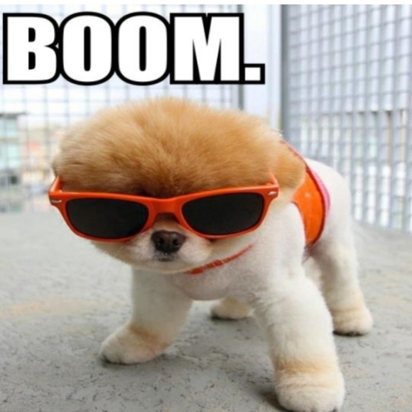 Meet your Posher, Shirley - Picture 1 of 1